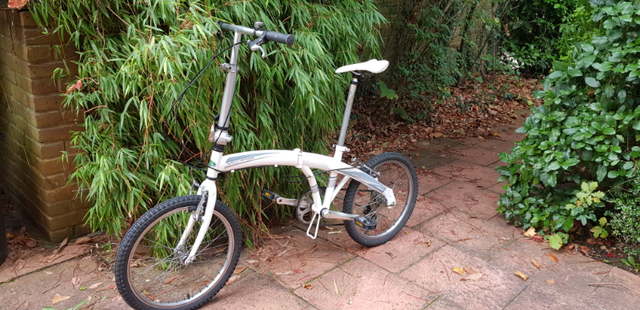 dahon c6